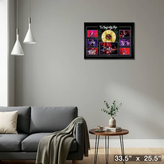 The Tragically Hip Framed Concert Collage with Gold LP 33.5" x 25.5"